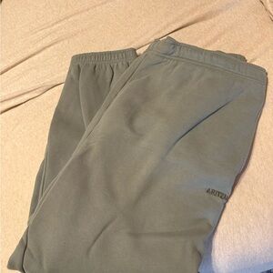 Aritzia sage joggers